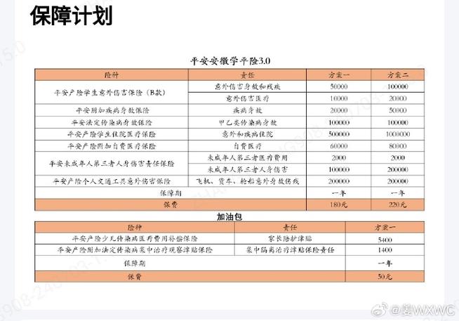 今年平安学平险的费用是多少？