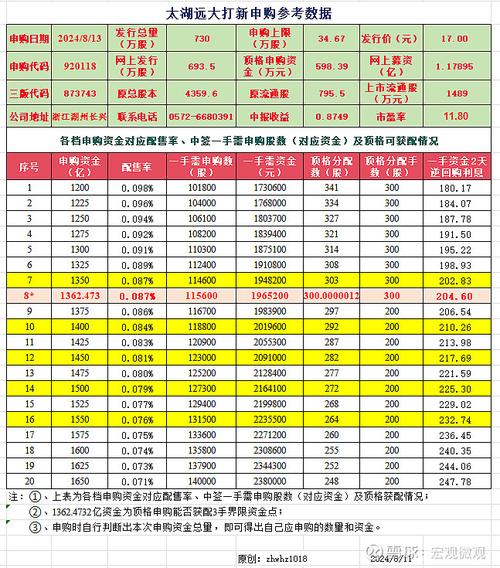 新股申购时，个人投资者最多可以购买多少股份？