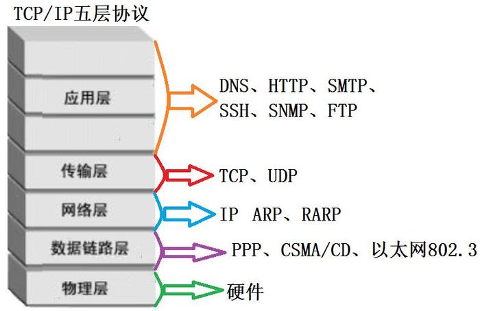 协议端口在TCP/IP模型中扮演什么角色？