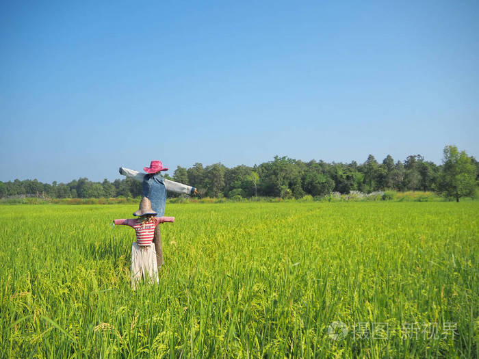 作图分析均衡价格的形成_作图分析均衡价格的形成与变动_tp ap mp的作图分析
