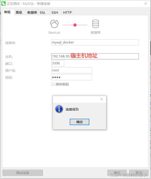 如何在MySQL数据库插入数据后立即获取账号ID和项目ID？
