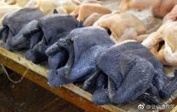究竟在中国，一只鸡的身价能有多高？