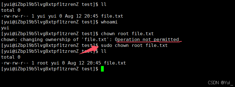 sudo