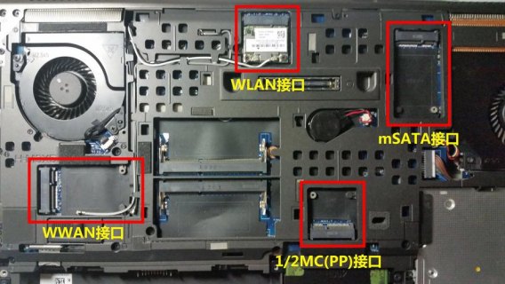 戴尔笔记本显卡插拔（戴尔笔记本显卡接口）-图1