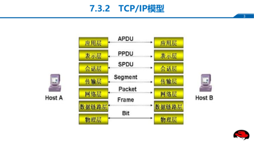 协议端口在TCP/IP模型中扮演什么角色？