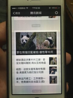 四核8g笔记本电脑_笔记本电脑8核和4核区别-图2