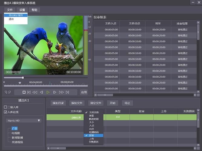 如何确保内容视频审核接口的高效与准确性?