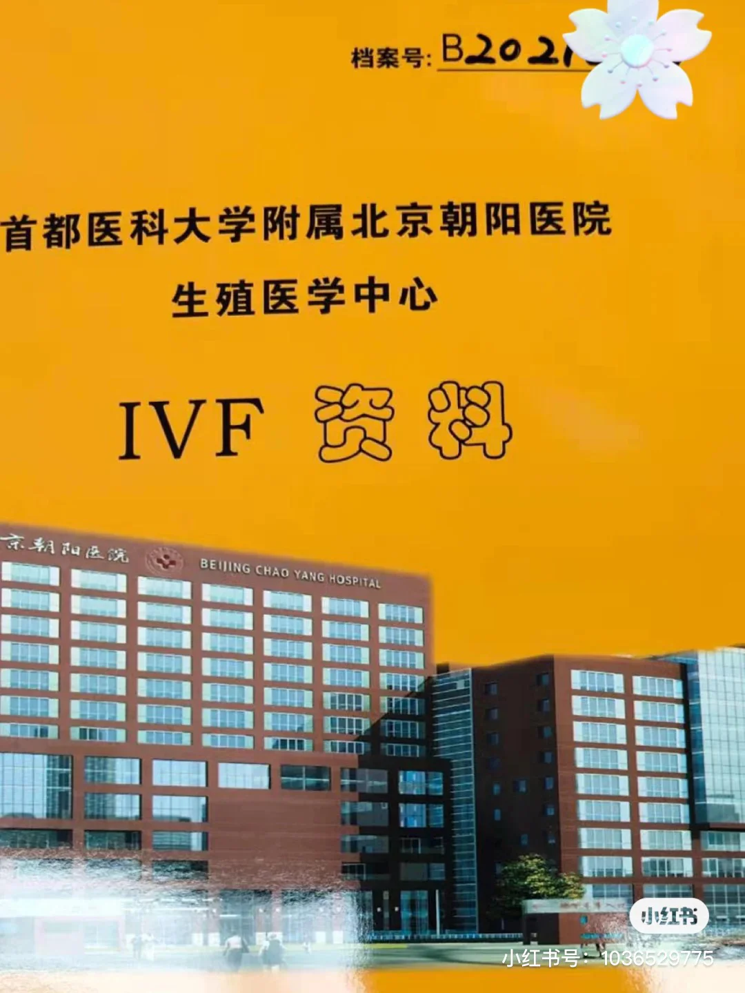 北京朝阳医院如何挂号_朝阳挂号医院北京分院_朝阳挂号医院北京分院电话