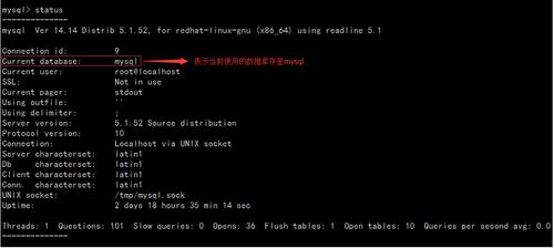 如何高效地查看MySQL数据库中的主题内容？