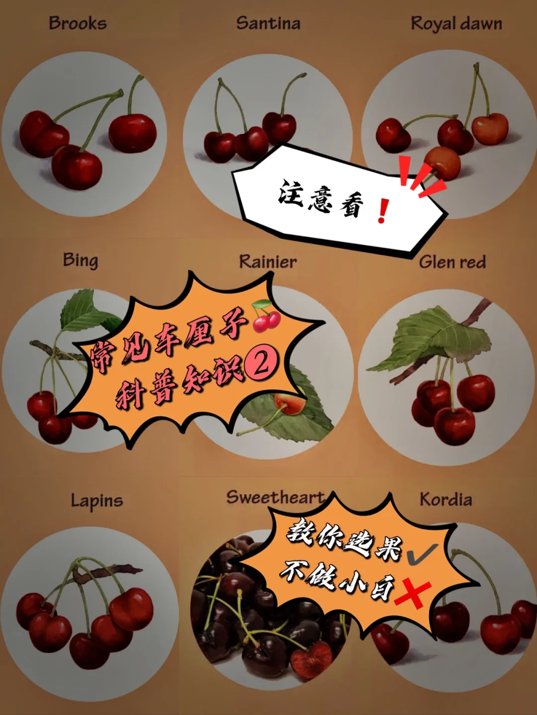 番茄花园装机系统_番茄花园xp系统安装教程_番茄花园系统怎么安装