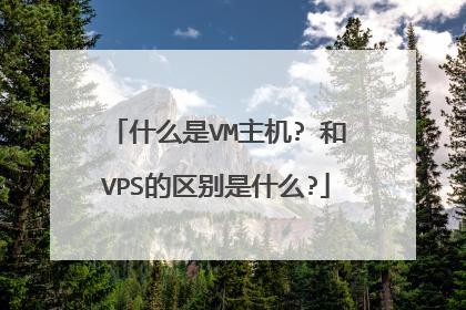 VPS和虚拟主机，它们在性能、成本和适用场景上有何不同？