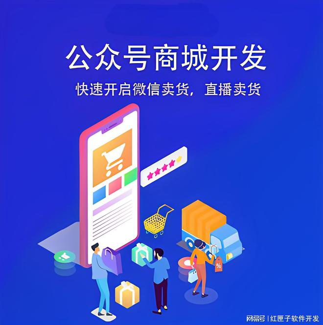 电子商城网站开发_电商商城开发_商城电子开发网站是什么