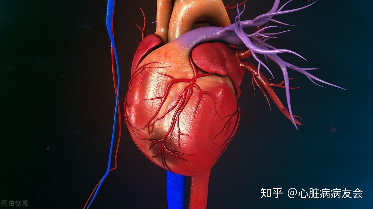 冠心病诊断_诊断冠心病的标准_诊断冠心病最可靠的方法是