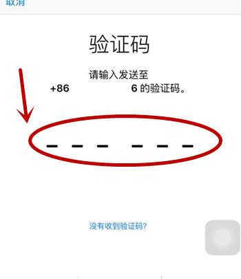 验证码功能在朋友应用中如何启用？