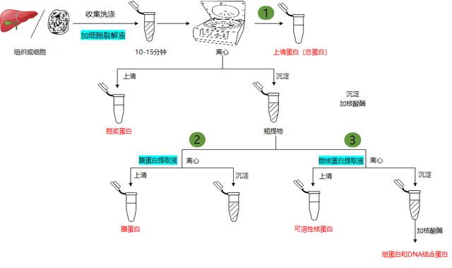 如何有效实施内容提取及其方法？