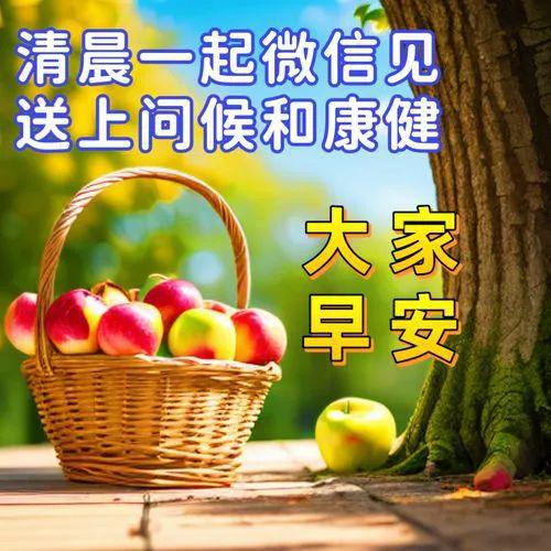理想之友rm5023_友理想乳酸菌面包哪里生产的_友理想食品