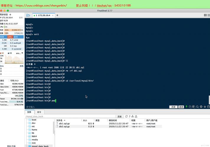 如何高效地进行MySQL大型数据库的备份操作？