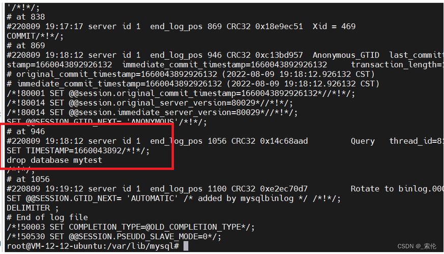 如何检查MySQL中存在多少个数据库并查看错误日志？