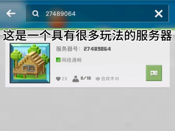 在Minecraft服务器中如何更改我的密码？