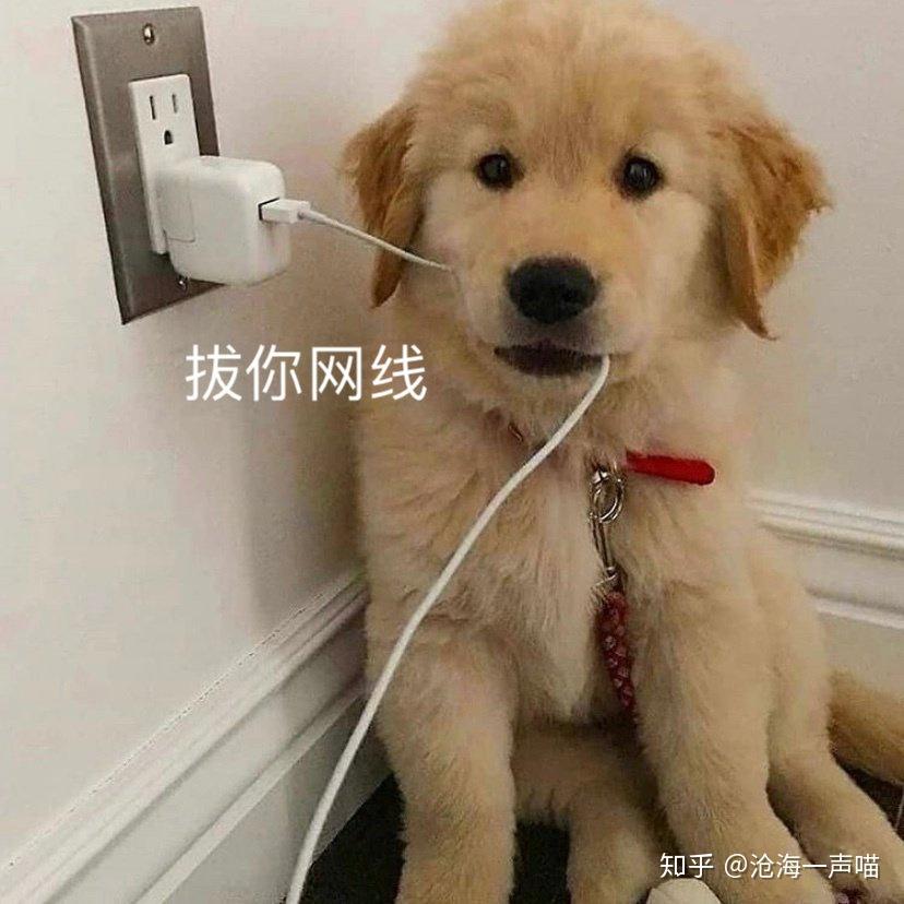 report framework下载_下载framework4.0_下载framework