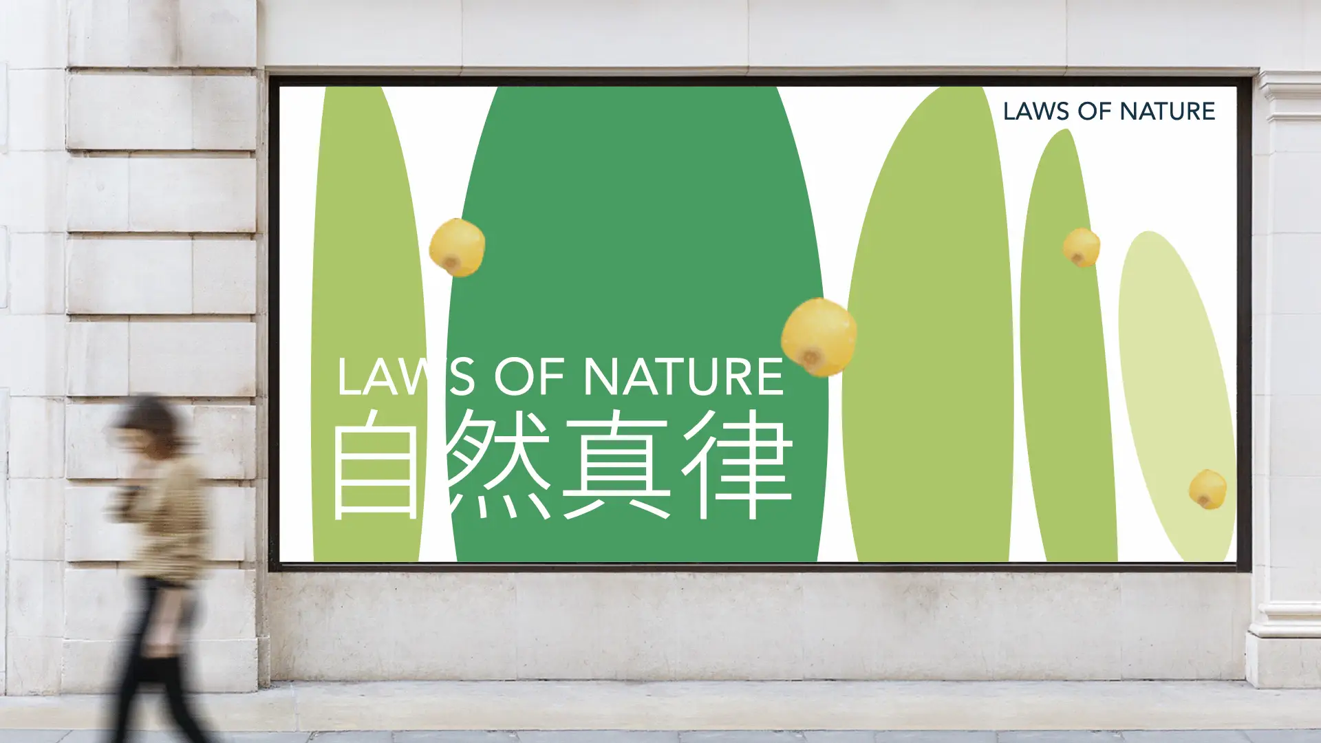 商城用户协议模板_商城用户的作用是什么_shopnum1多用户商城