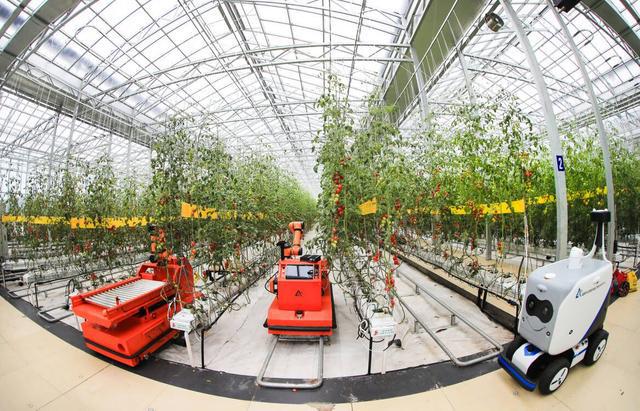 修改样式标题1怎么设置_手机电子表格怎么改标题_ecshop 手机模板标题修改