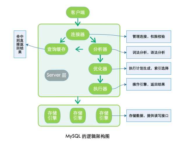 如何利用MySQL复制数据库表结构并生成逻辑结构图？