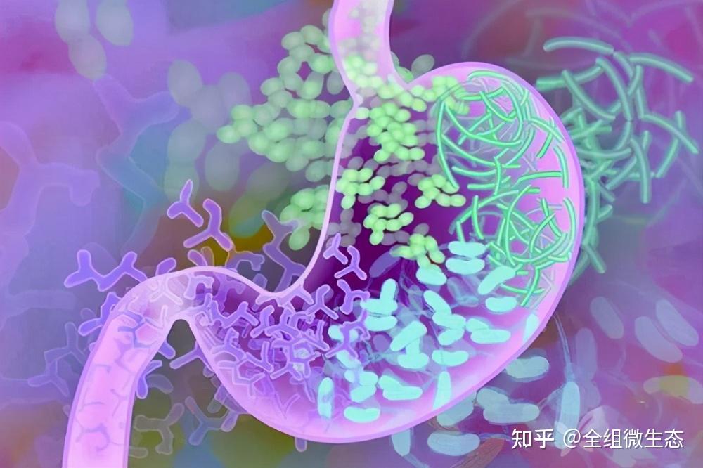 克罗恩病好发部位_罗克罗恩病的特征性体征_罗克恩病严重吗