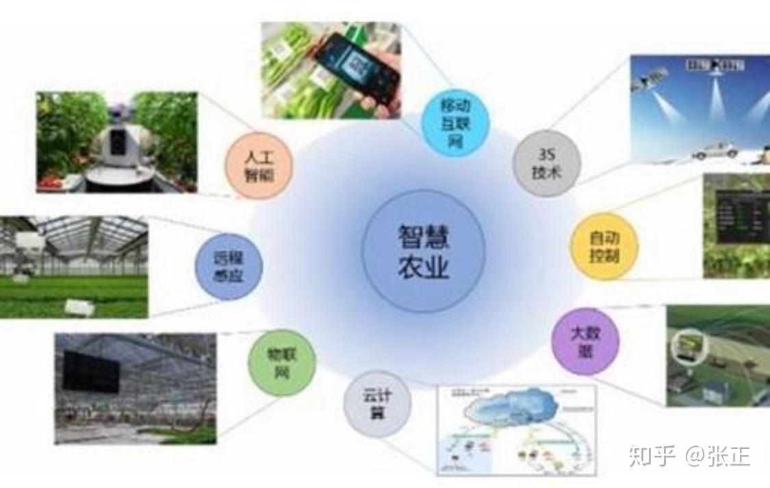 地理技术生物可以选什么专业_地理3s技术_地理技术有哪些