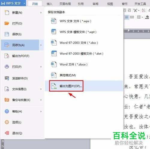 电脑中的图片为何显示为WPS文件，解析与解决方法