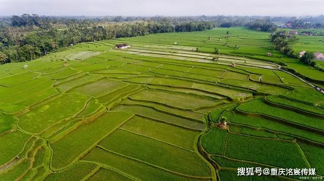 商城用户的作用是什么_shopnum1多用户商城_商城用户协议模板
