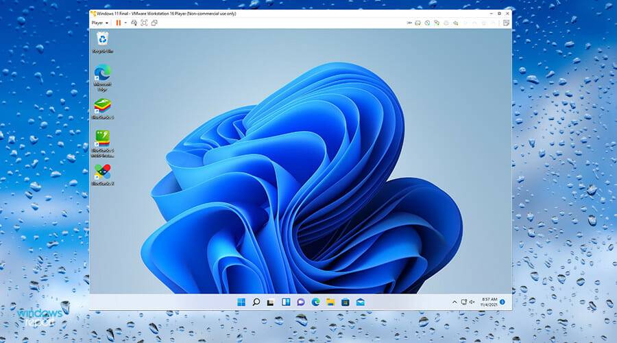 植物大战僵尸破解下载版_抖音破解下载版_vmware workstation 10破解版下载