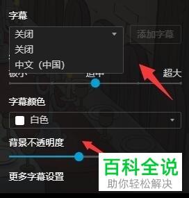 如何打开带CC字幕的视频文件？