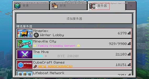 在Minecraft服务器中，通常存放游戏数据和配置文件的文件夹有哪些名称？