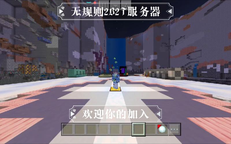 如何找到2b2t服务器的具体地址？