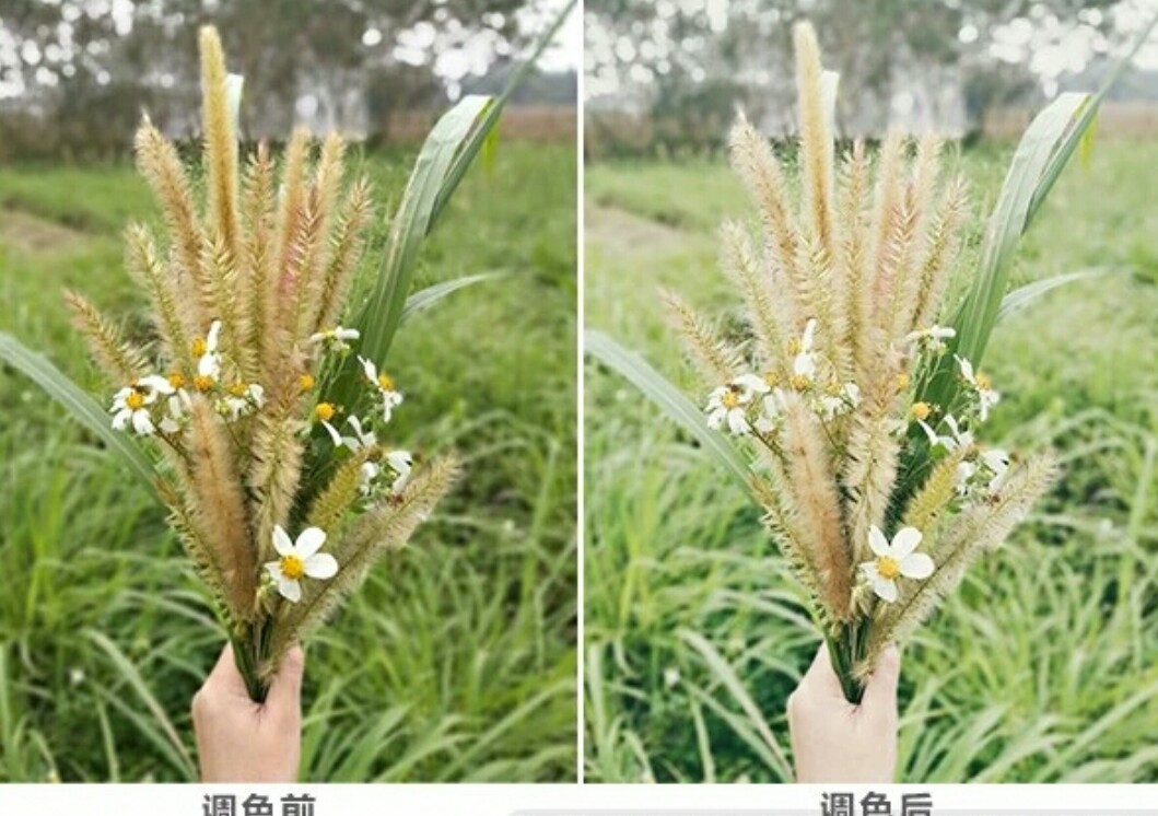 照片恢复大师好用吗_照片恢复大师的图片会泄密吗_照片恢复大师什么原理
