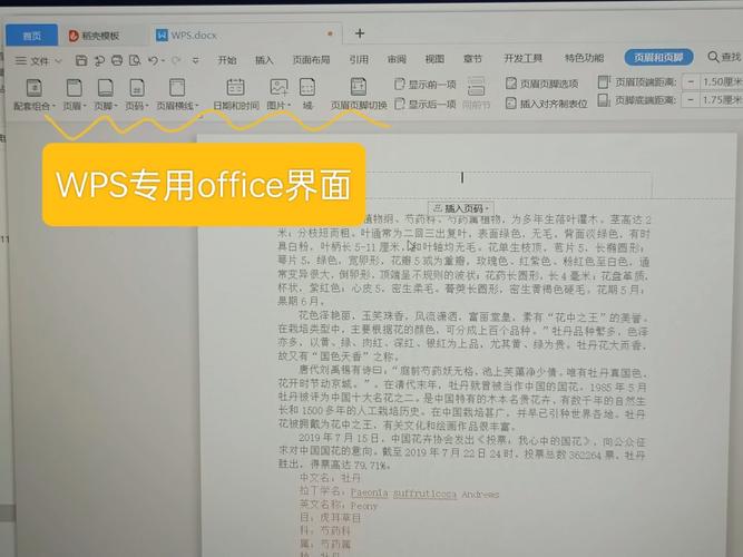 为什么WPS文本的侧面看起来比实际内容多出一半？