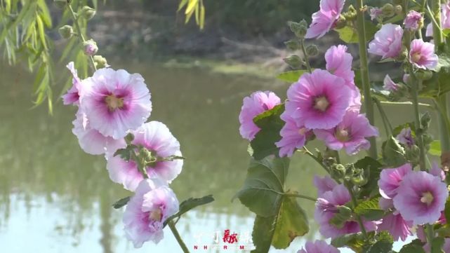 监理报表格式_湖北省监理报验表格_监理报验表格规范