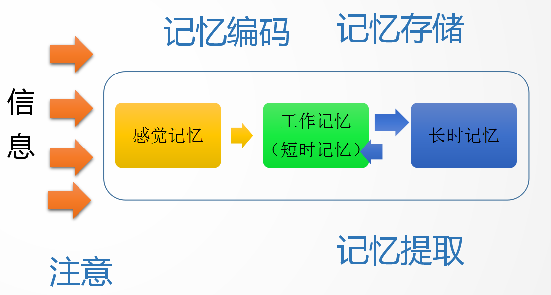 雨林win xp系统下载_雨林win7系统安装步骤_win7雨林