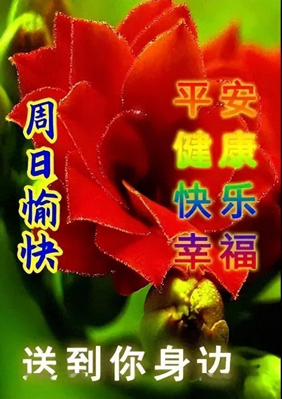 单机华为手机游戏有哪些_华为手机单机游戏_华为单机大型游戏