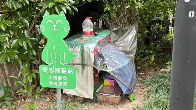 想查道路监控怎么查询_道路监控查询_如何查询道路监控录像记录