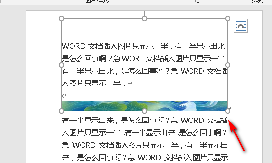 WPS图片处理中断，原因何在？