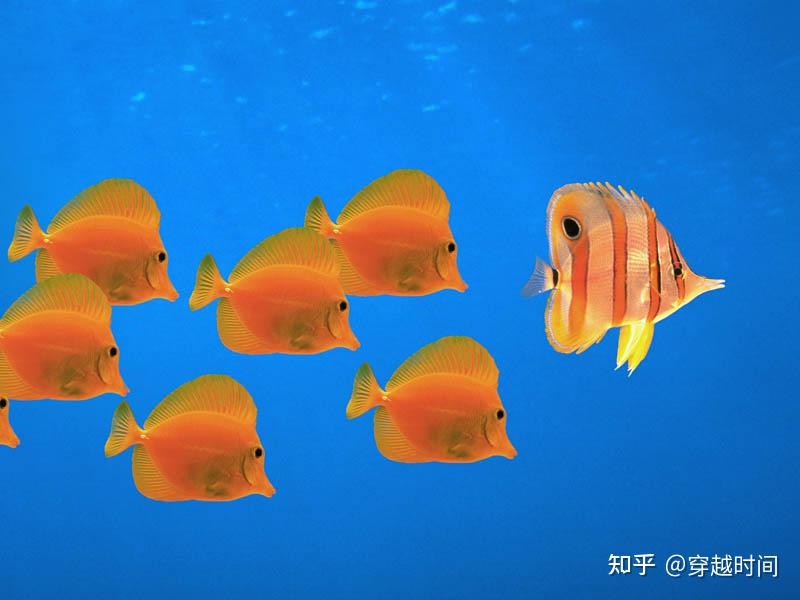 有没有纯净版的百度_xp纯净版百度云_win7纯净系统百度云链接