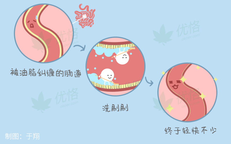看肠胃哪里好_肠胃好是什么体验_肠胃好有哪些表现