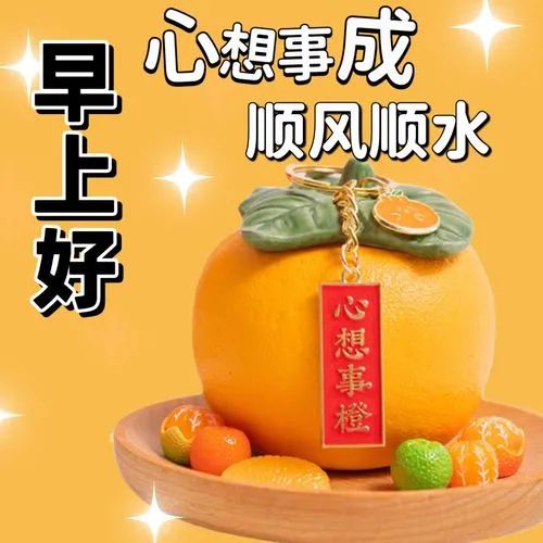友理想乳酸菌面包哪里生产的_理想之友rm5023_友理想食品