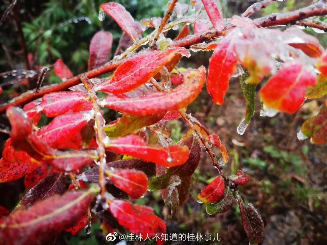 全友沙发2016年新款图_金虎沙发2024年新款_金虎沙发2015年新款
