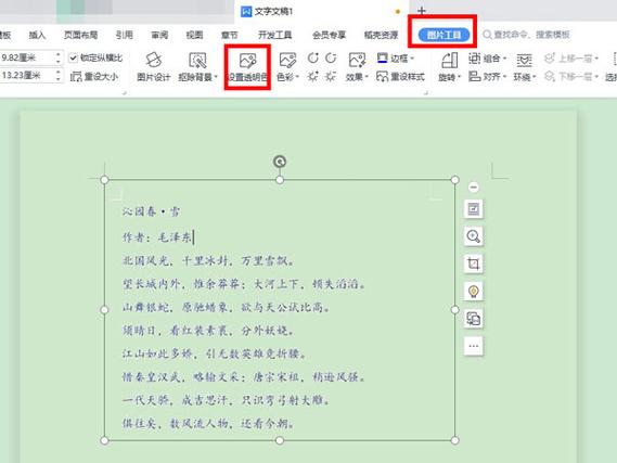 WPS图片处理中断，原因何在？