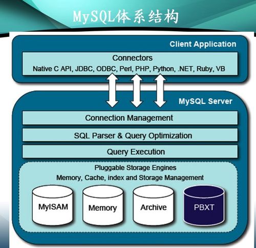 如何使用MySQL命令查看数据库结构？