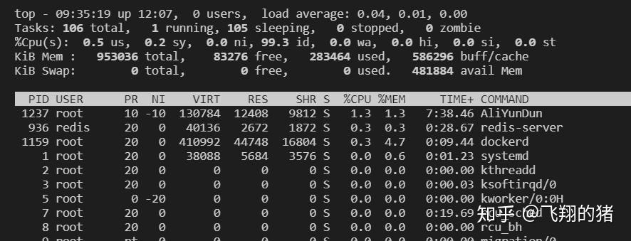 如何有效进行Linux系统的IO性能测试以优化Cache和输入输出操作？
