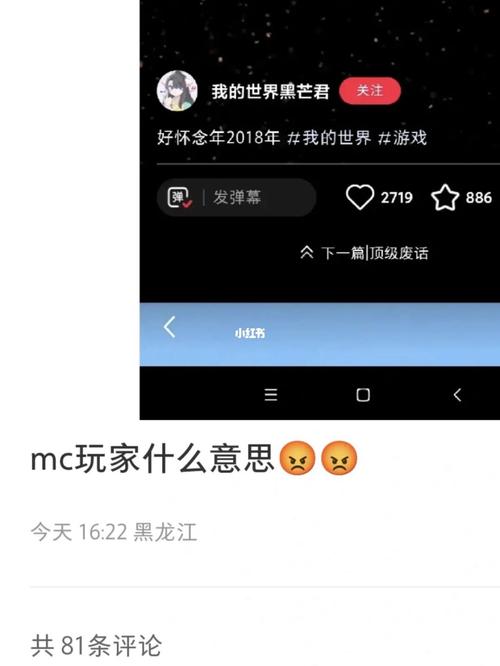 黑芒君的服务器究竟被命名为何？